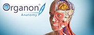 3D Organon Anatomy | Enterprise Edition System Requirements