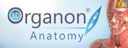 Can I Run 3D Organon Anatomy?