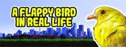 A Flappy Bird in Real Life System Requirements