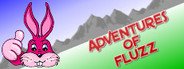 Adventures Of Fluzz System Requirements