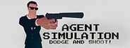 Agent Simulation System Requirements