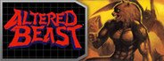 Altered Beast System Requirements