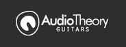 Can I Run AudioTheory Guitars?