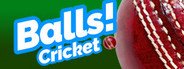 Balls! Virtual Reality Cricket System Requirements