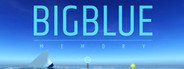 Big Blue - Memory System Requirements