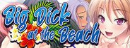 Big Dick at the Beach System Requirements