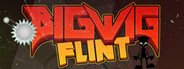 Bigwig Flint System Requirements