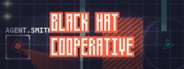 Black Hat Cooperative System Requirements