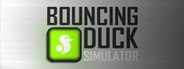 Bouncing Duck Simulator System Requirements