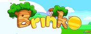 Brinko System Requirements