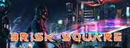 Brisk Square System Requirements