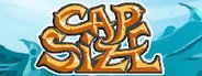 Capsize System Requirements