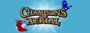 Champions of Aerial System Requirements