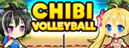 Chibi Volleyball System Requirements