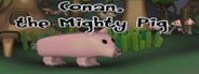 Conan the mighty pig System Requirements