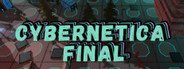 Cybernetica: Final System Requirements