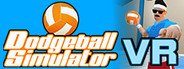 Dodgeball Simulator VR System Requirements