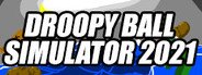 Droopy Balls Simulator 2021 System Requirements