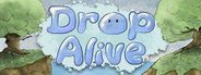 Drop Alive System Requirements