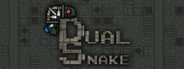 Dual Snake System Requirements