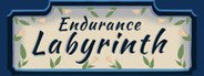 Endurance Labyrinth System Requirements