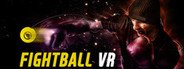 FIGHT BALL - BOXING VR System Requirements