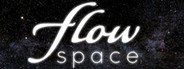 Flow Space System Requirements