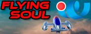 Flying Soul System Requirements