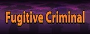 Fugitive Criminal System Requirements