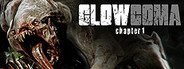 GLOWCOMA: chapter 1 System Requirements