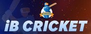 iB Cricket System Requirements