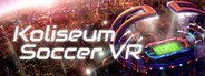 Koliseum Soccer VR System Requirements