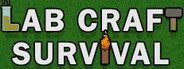 Lab Craft Survival System Requirements