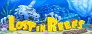 Lost in Reefs: Antarctic System Requirements