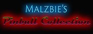 Malzbie's Pinball Collection System Requirements