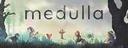 Medulla System Requirements