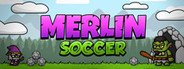 Merlin Soccer System Requirements