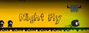 Night Fly System Requirements