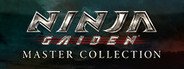 [NINJA GAIDEN: Master Collection] NINJA GAIDEN Σ2 System Requirements