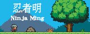 Ninja Ming System Requirements