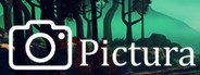 Pictura System Requirements