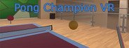 Can I Run Pong Champion VR?