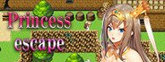 Princess escape System Requirements