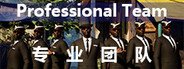 Professional Team System Requirements