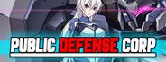 Public Defense Corp System Requirements