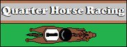 Quarter Horse Racing System Requirements