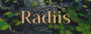 Radiis System Requirements