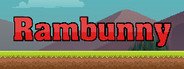 Rambunny System Requirements