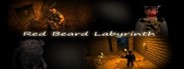 Red Beard Labyrinth System Requirements