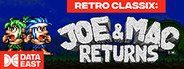 Retro Classix: Joe & Mac Returns System Requirements